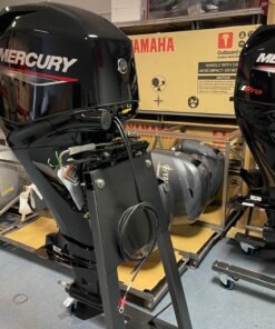 Mercury 60 HP long shaft F60 EFI ELPT (including remote control, gauges and propeller),,